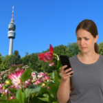vorwahl dortmund